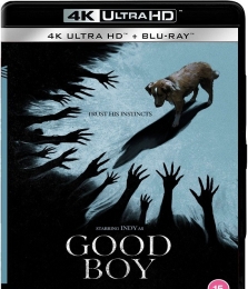 4K蓝光原盘ISO 好狗狗[英版原盘 简繁+双语字幕]Good Boy.2025.UHD.Blu-ray.2160P.HDR10.DV.HEVC.DTS-HD.MA.5.1[52.08GB]